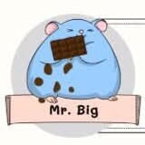 Mr.big