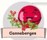 Canneberges