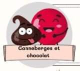 Canneberges et chocolats