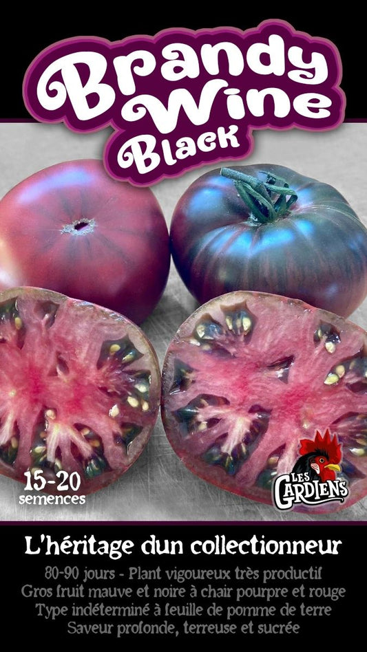 Semences de tomates Brandy wine Black